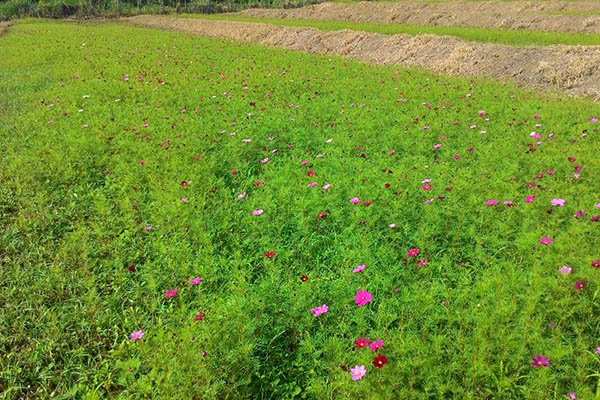 台東民宿照片 台東民宿