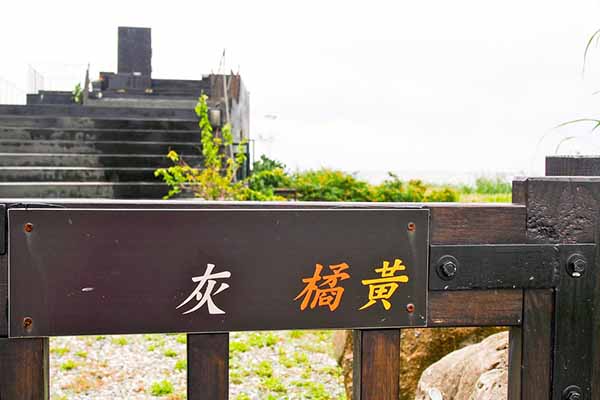 台東民宿照片